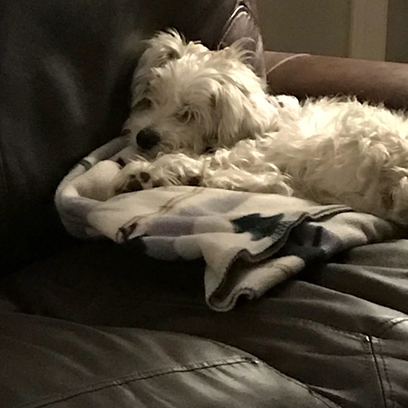 Meet your Posher, Adrianne - Picture 2 of 6